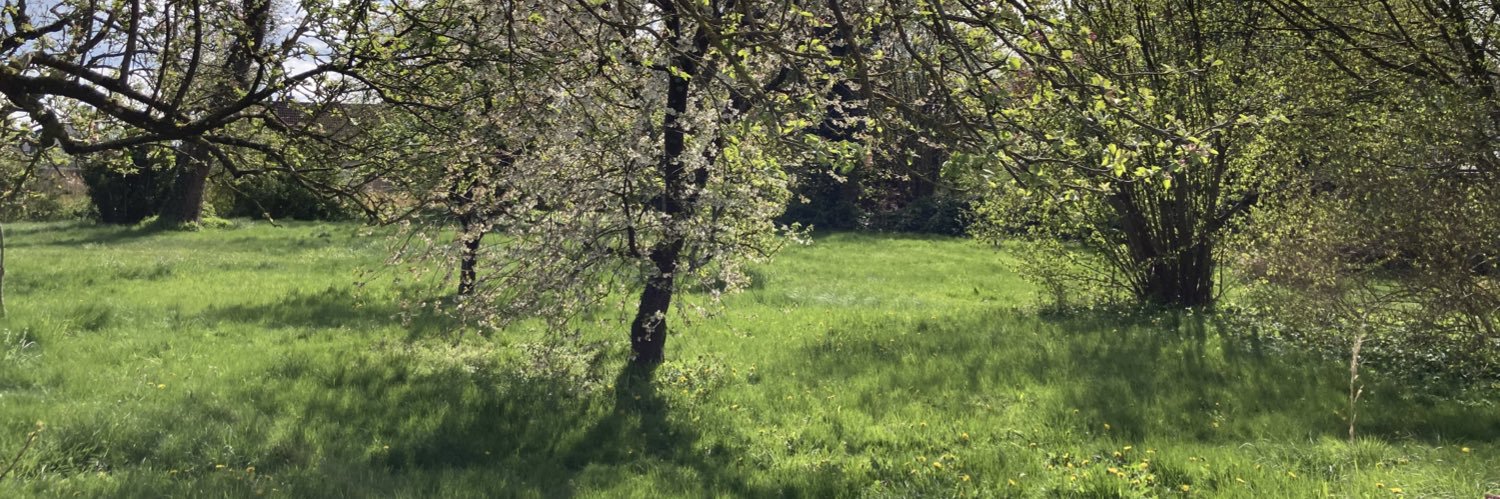 mara74's profile banner image
