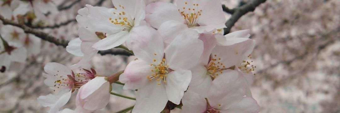 tom_hare_'s profile banner image
