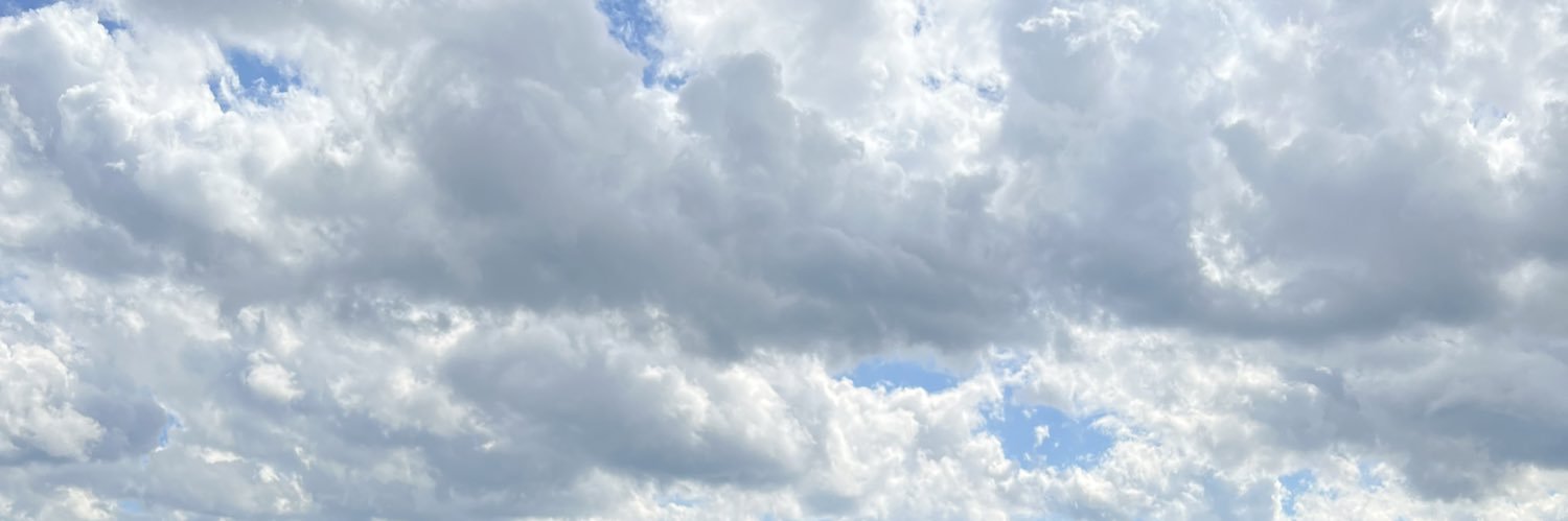Ldsm0416's profile banner image
