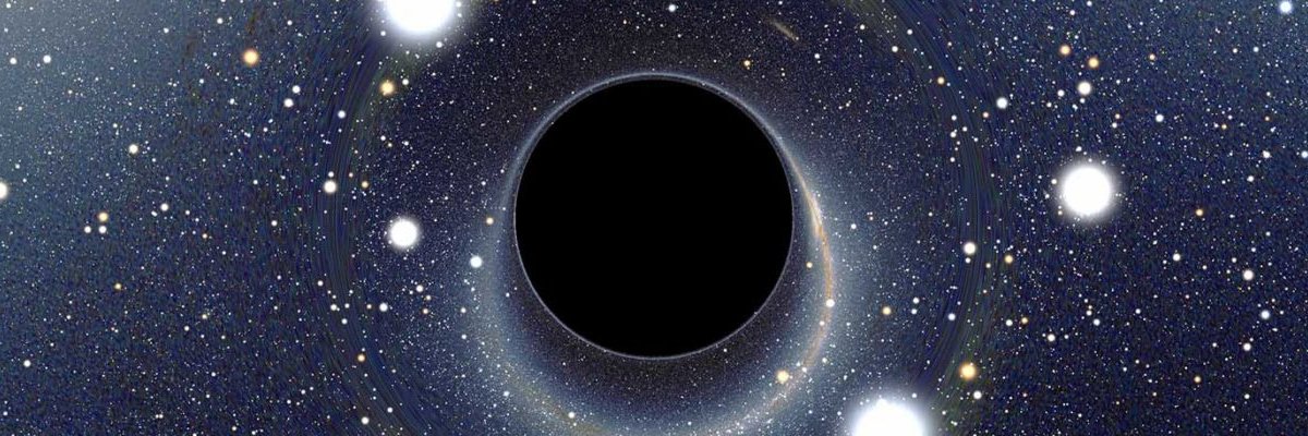 cryptorchbearer's profile banner image