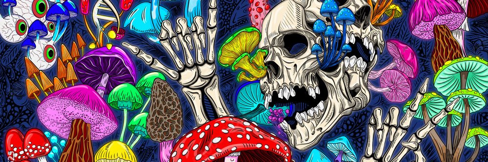 ToeKisser25's profile banner image