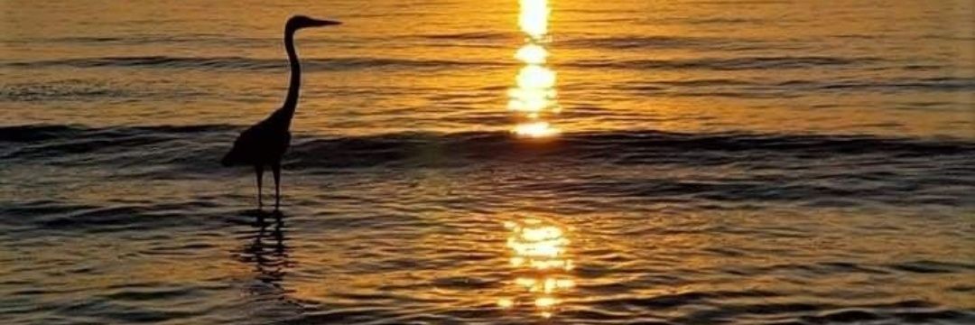 aall38413713's profile banner image