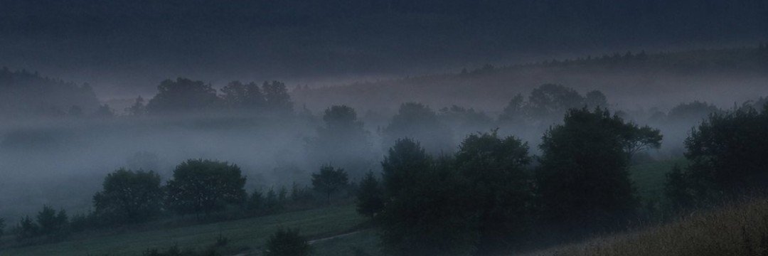cami_estrellas's profile banner image