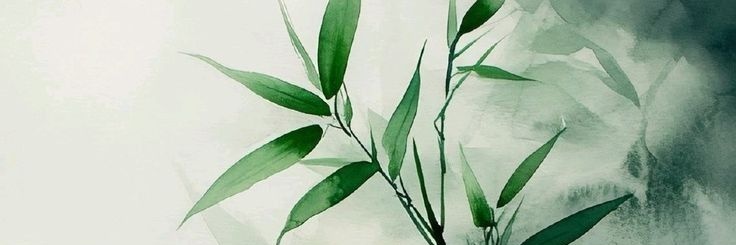 kangusik's profile banner image