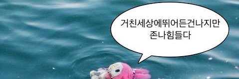 타이로프 banner