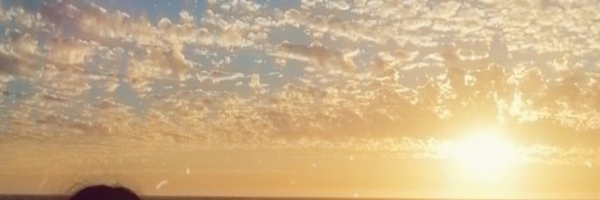 milfrous's profile banner image