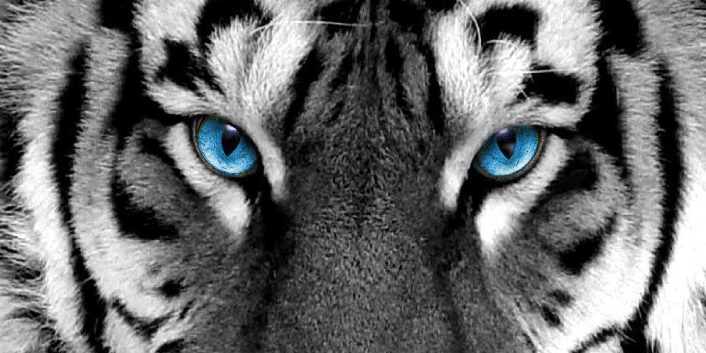 vavo783's profile banner image