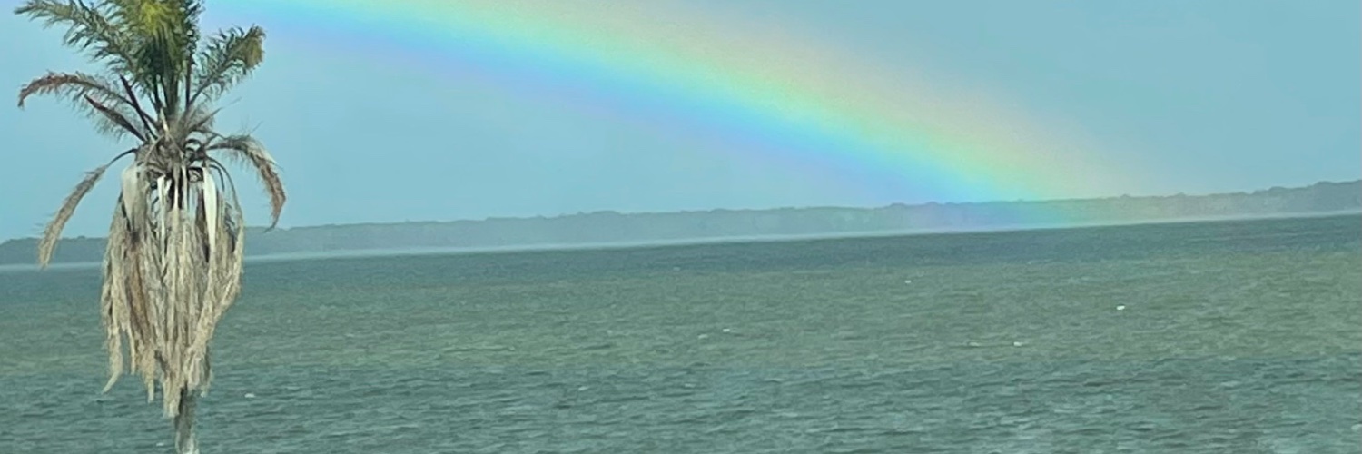 Stacey Bell banner