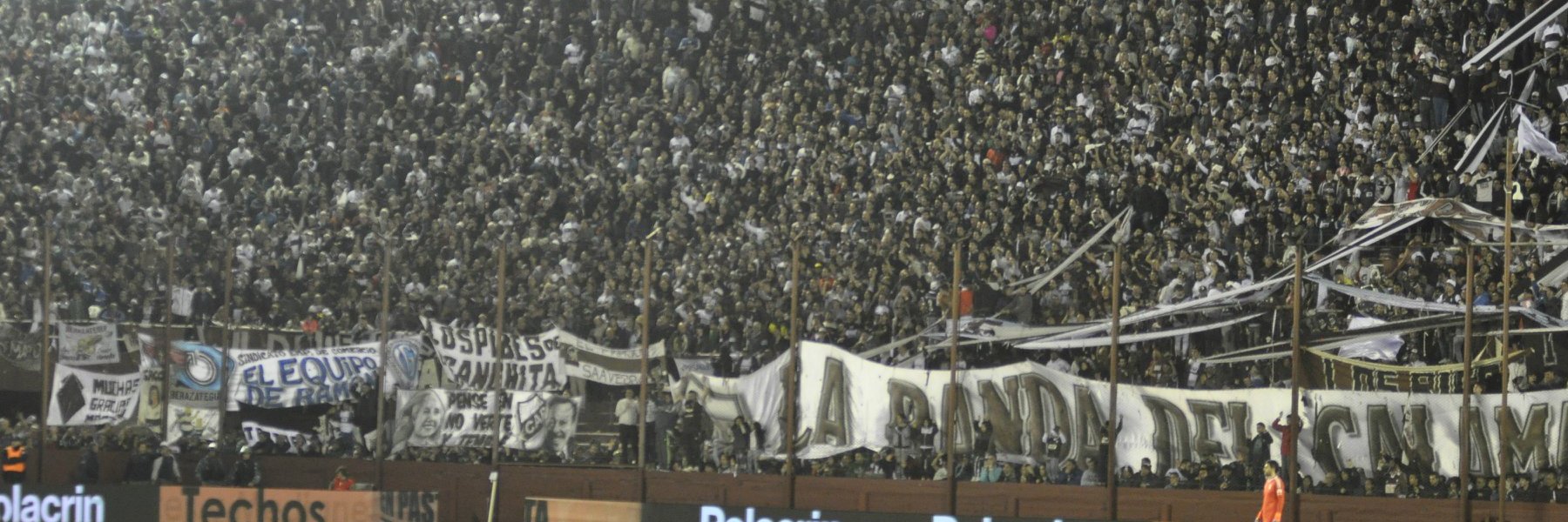 Hernan Buzzella banner