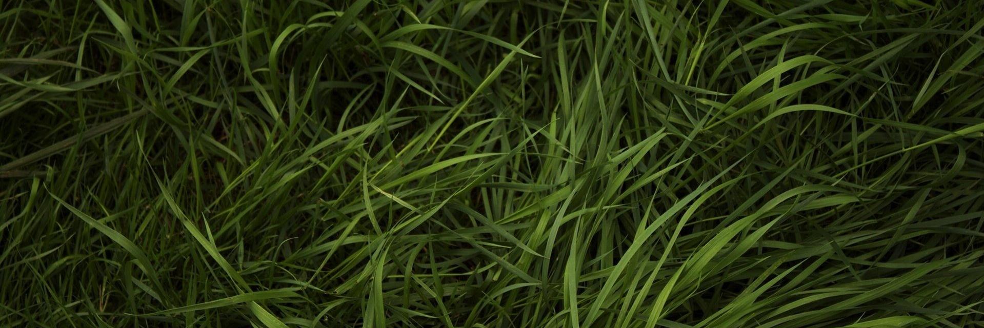 lucasbarrera's profile banner image