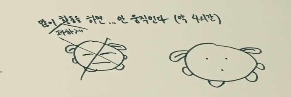 하나비 banner