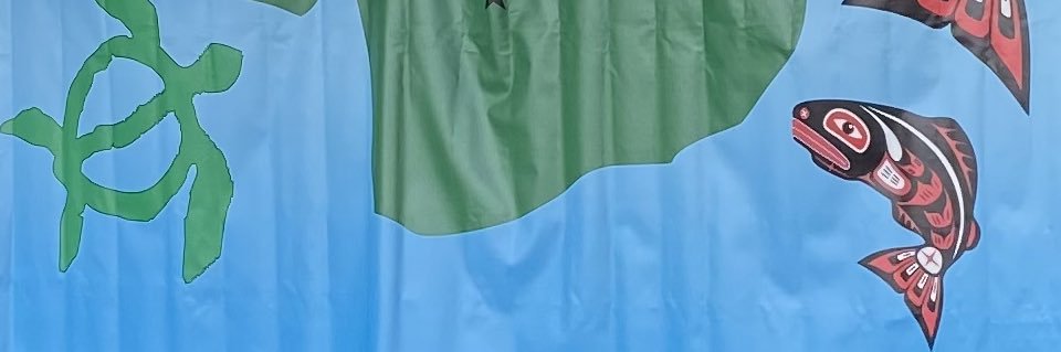 Bill Nahalea banner