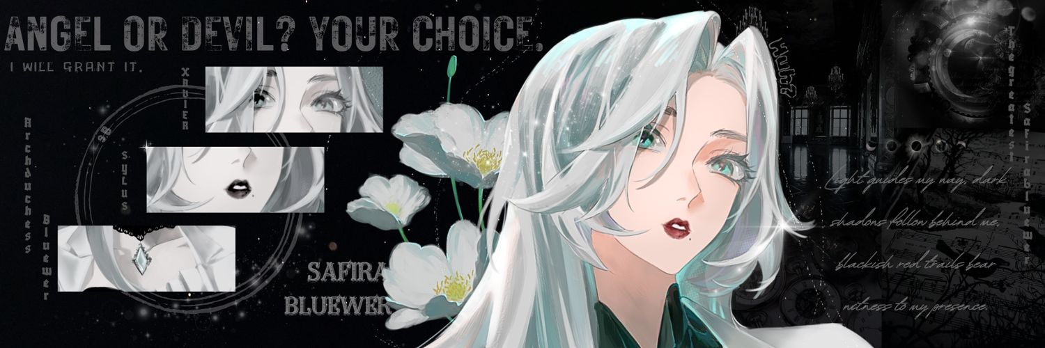 Safira ₍˄. ̫.˄₎⟆✧⁠*⁠。 banner