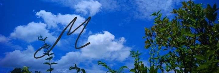 PeemTi banner