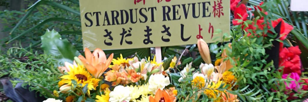 masashilove's profile banner image