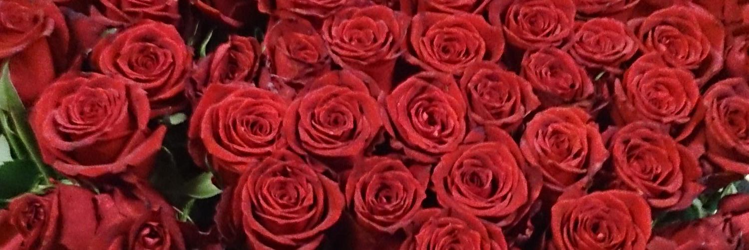 hearts_x's profile banner image