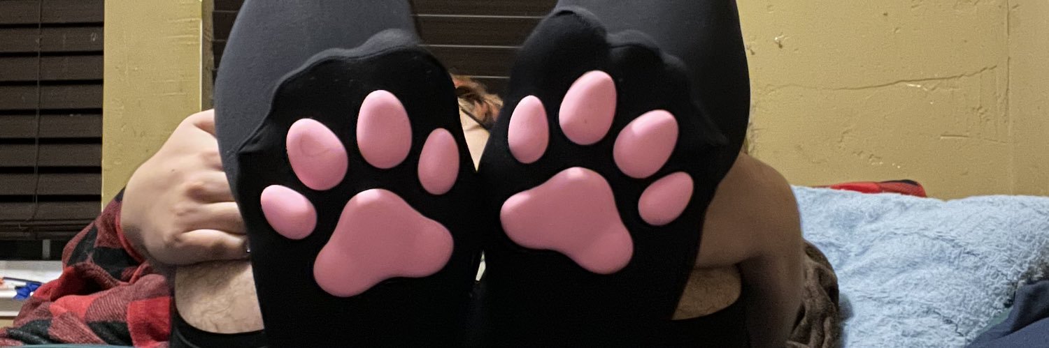 Gay socks banner