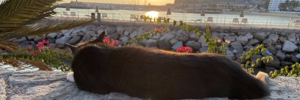 MyChoiceCZ Profile Banner