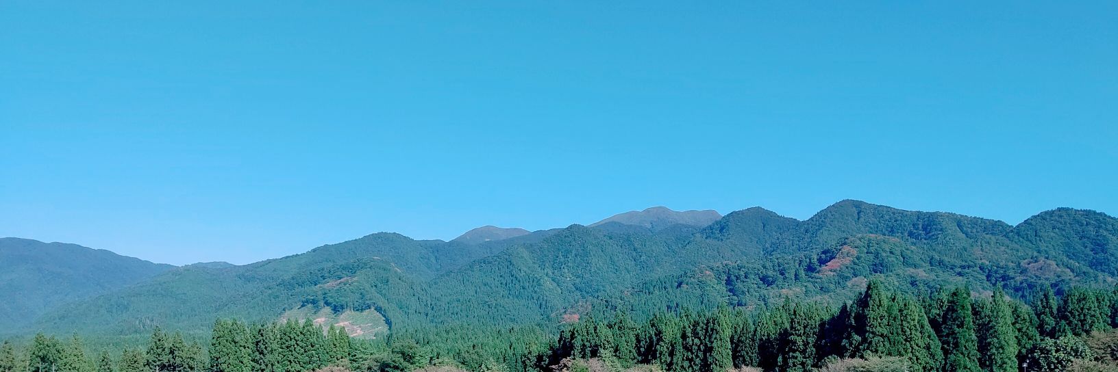 西野屋∽'s banner