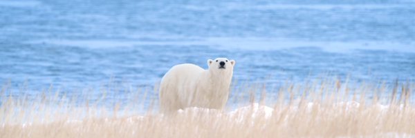 happyceleryisme Profile Banner