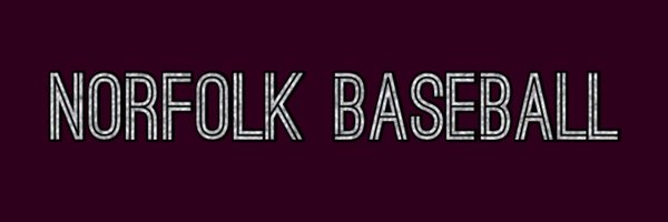 BaseballNorfolk Profile Banner