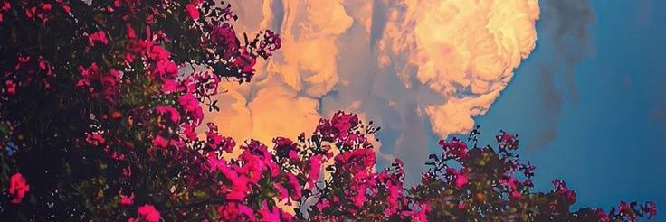 LaRgeROLLSS's profile banner image