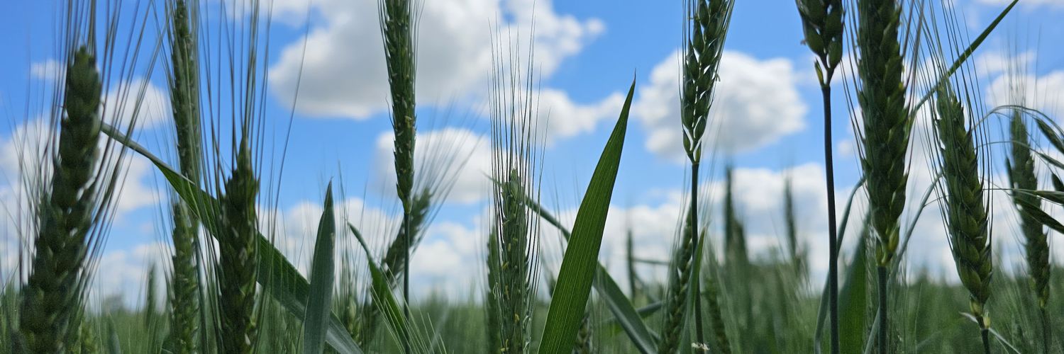 Chris Karabats banner