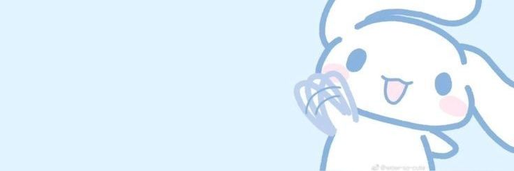 Cinor banner