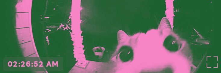 cielle!! 🐰🎧 banner