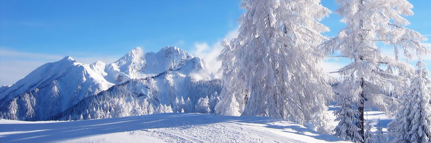 Filip77935176's profile banner image