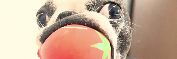 Ggfreeloo Profile Banner