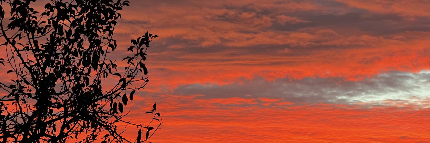 Iamatulp's profile banner image