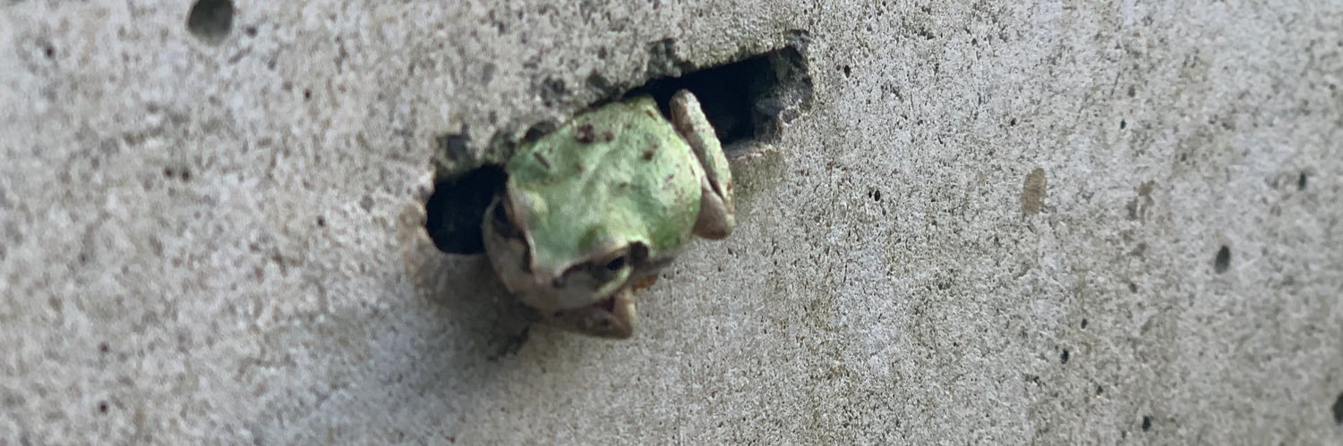 りょーごんた banner