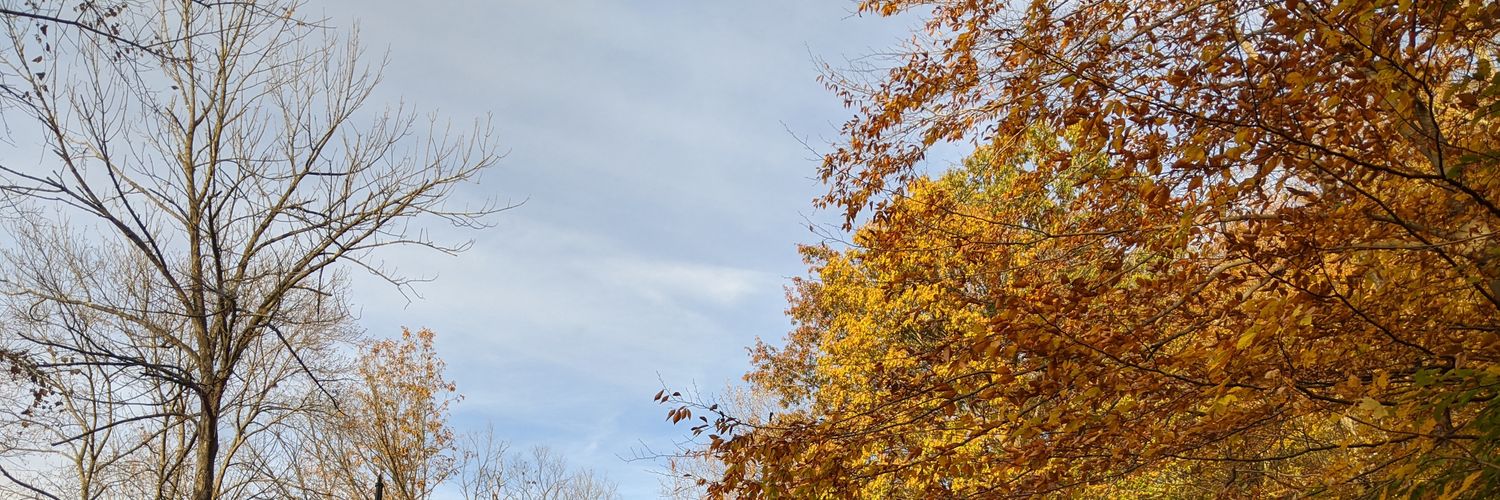 avadri's profile banner image