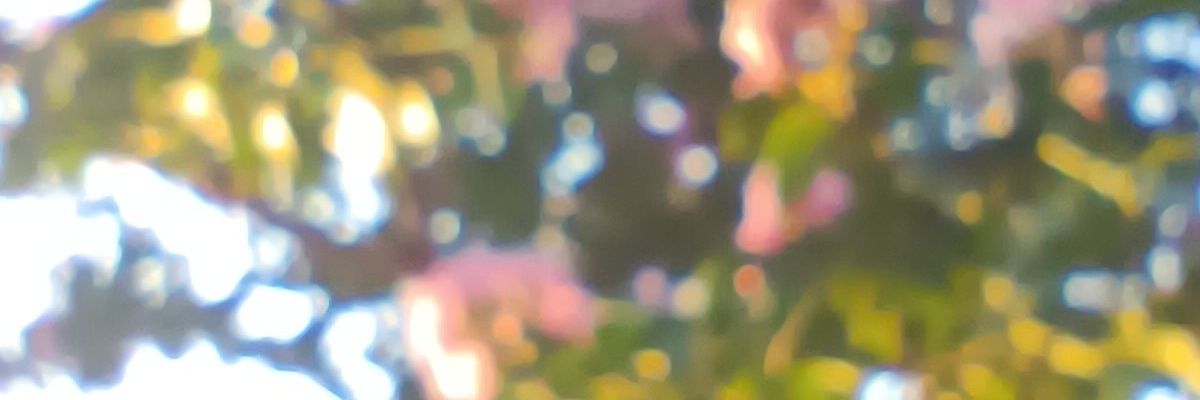 ccang banner
