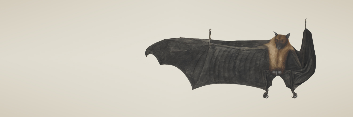 ripe's banner