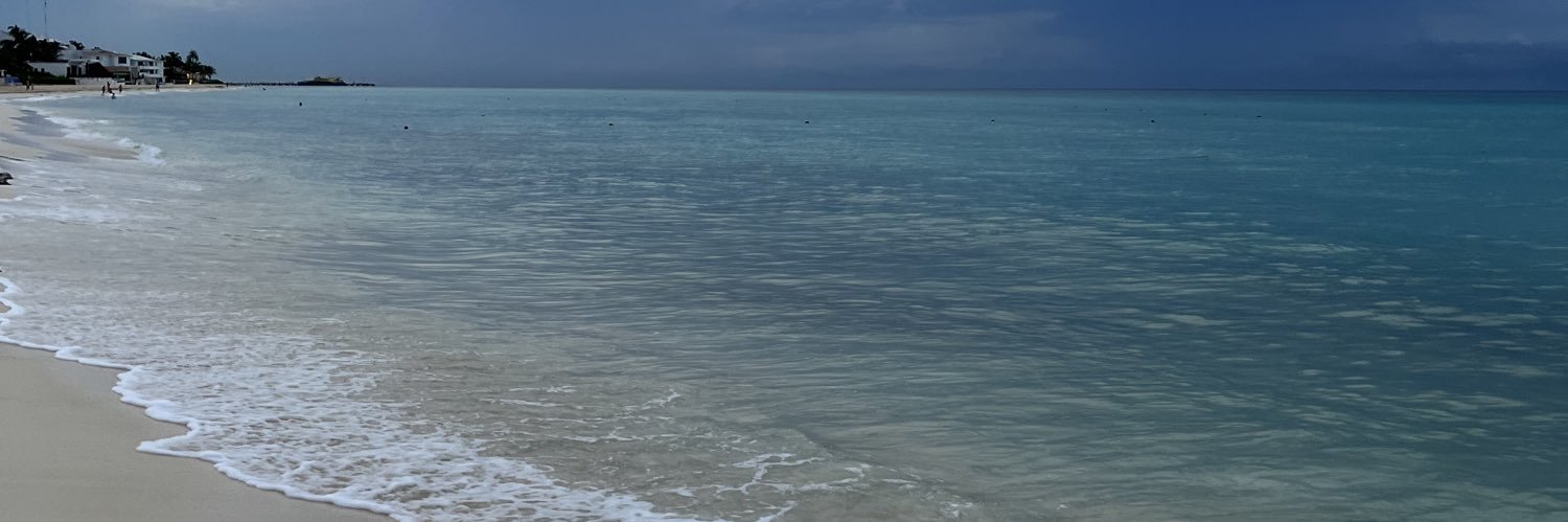 martiponsee's profile banner image