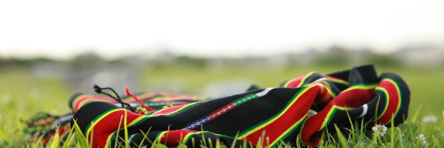 sangvalte's profile banner image