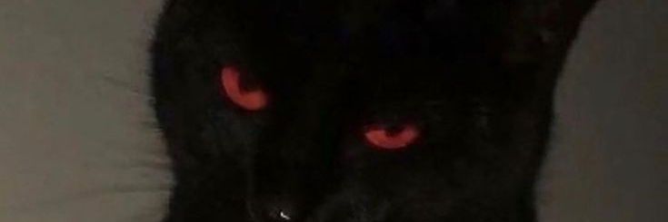 H_ATATA's profile banner image