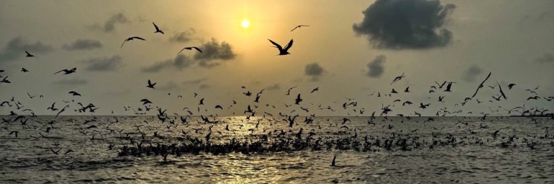 YazanHa_24's profile banner image