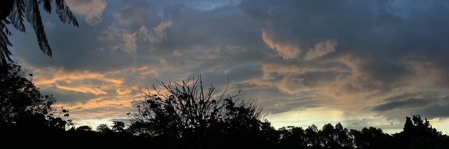 papoyyi_'s profile banner image