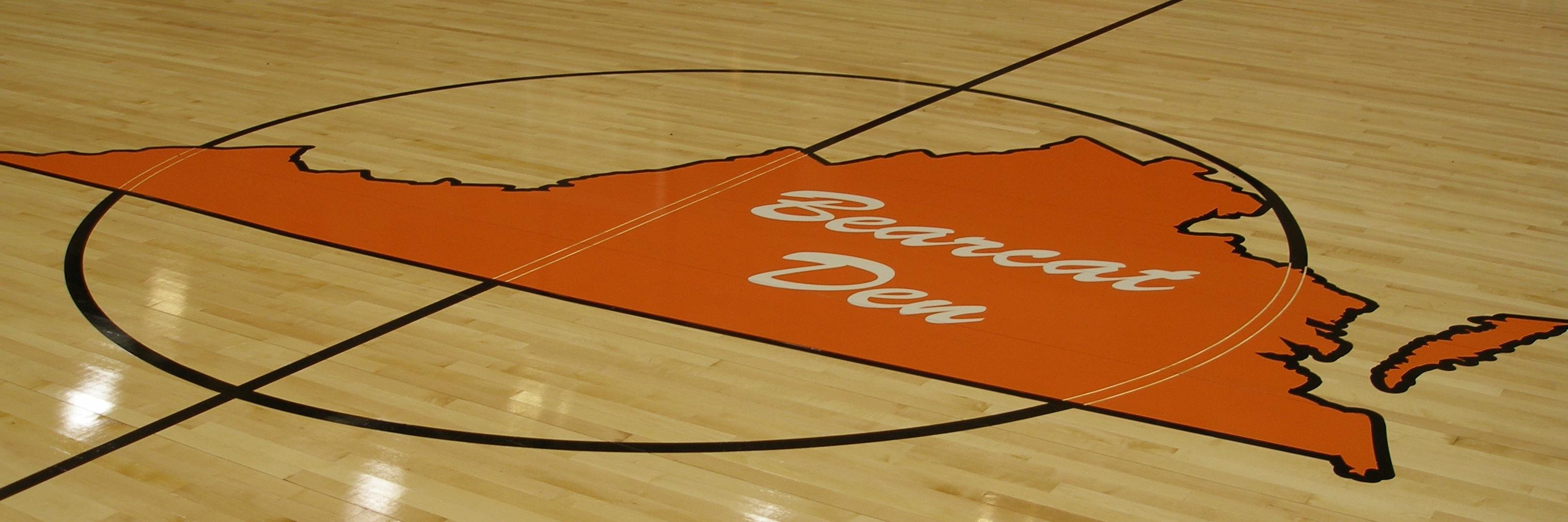 Virginia High VB banner