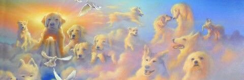 DogeGF Disciples 🕯️ banner