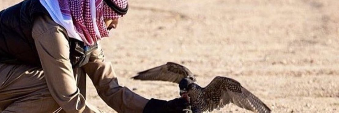 hamadalbasman1's profile banner image