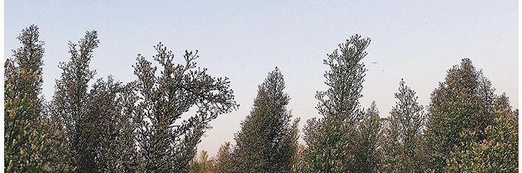 jacob_cyrus's profile banner image