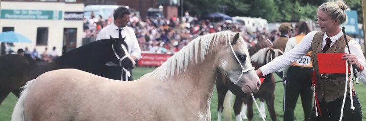 hannahbrown55's profile banner image