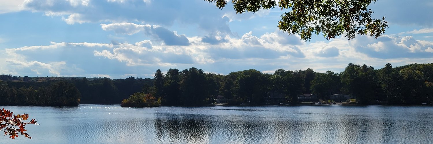 Zahra Heydarifard banner