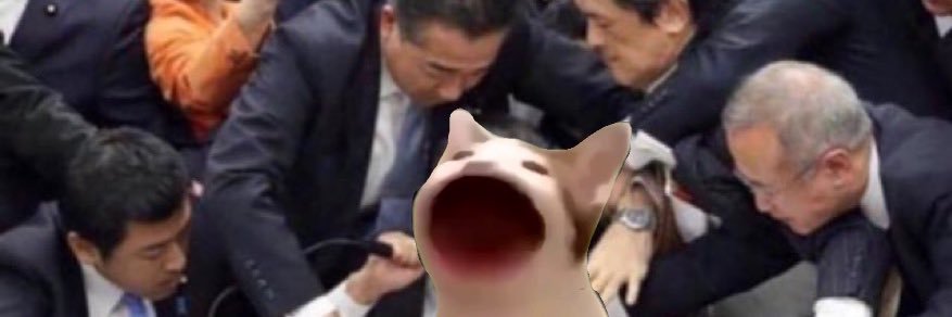 ʀᴀɴᴅᴏᴄᴏʟʟᴇᴄᴛᴏʀ banner