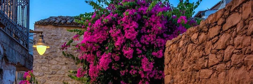 NrtqyA's profile banner image