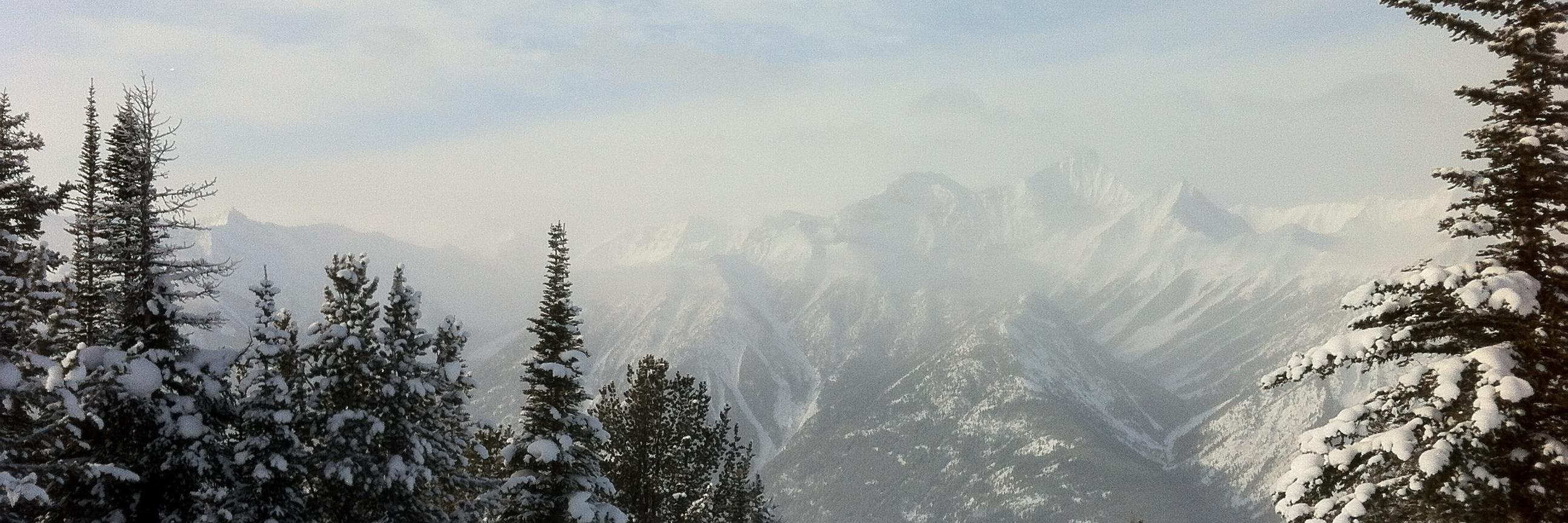 Derrick Bradley banner